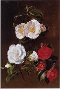 unknow artist Floral, beautiful classical still life of flowers 028 Sweden oil painting artist